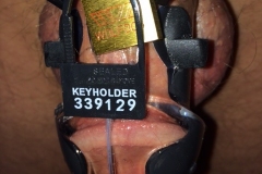 1415444_orig